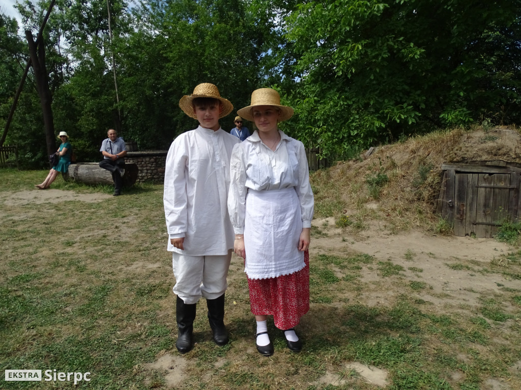 Miodobranie w skansenie