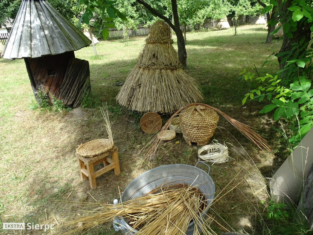 Miodobranie w skansenie