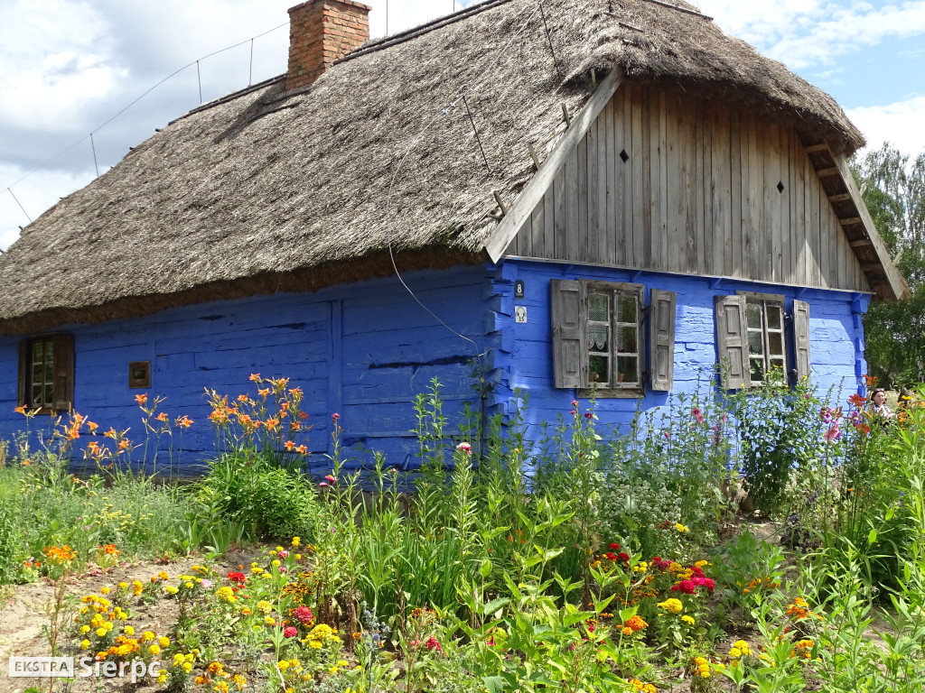 Miodobranie w skansenie
