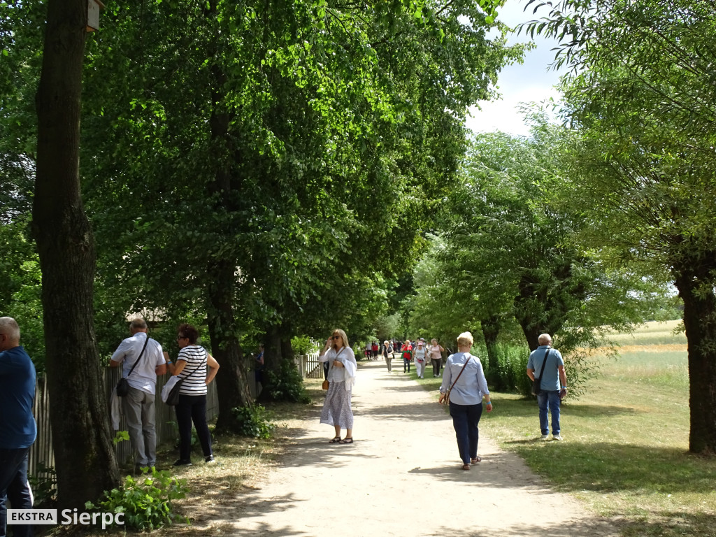 Miodobranie w skansenie