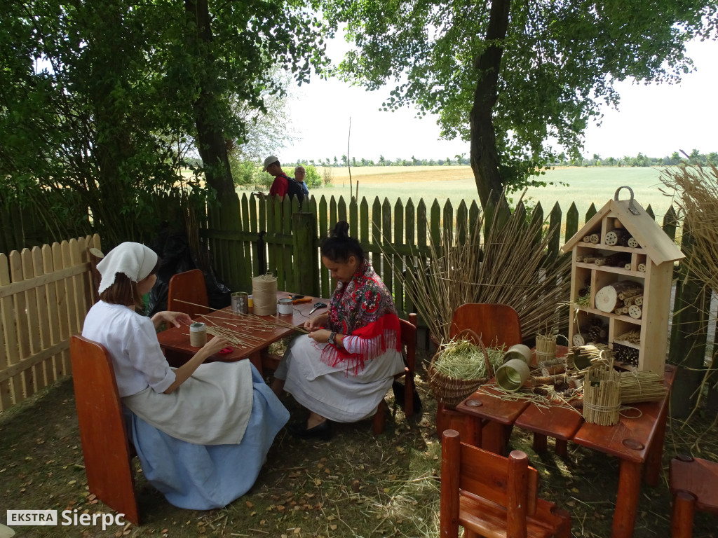 Miodobranie w skansenie