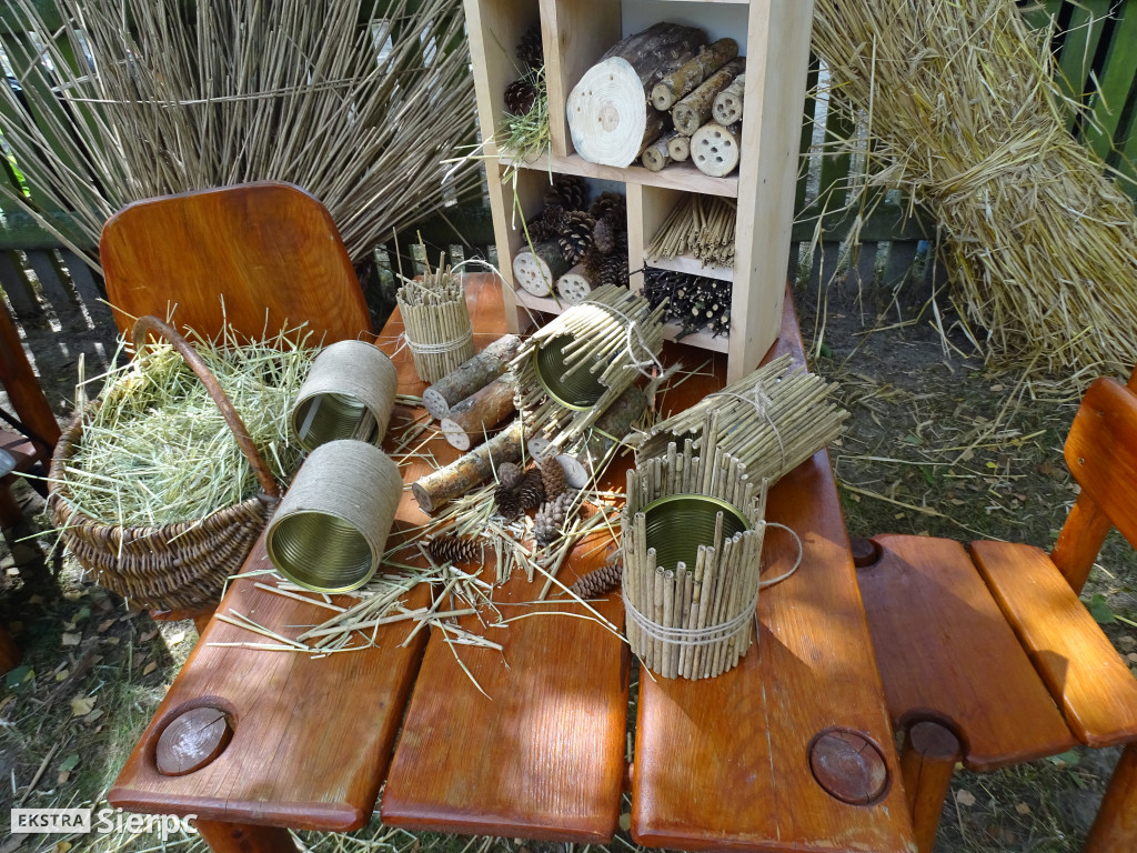 Miodobranie w skansenie