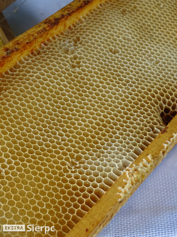 Miodobranie w skansenie