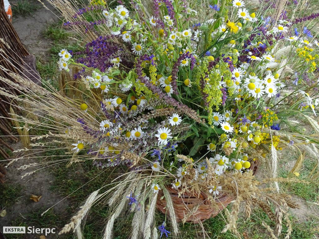 Miodobranie w skansenie