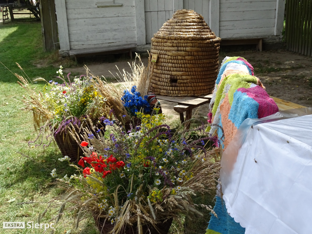 Miodobranie w skansenie