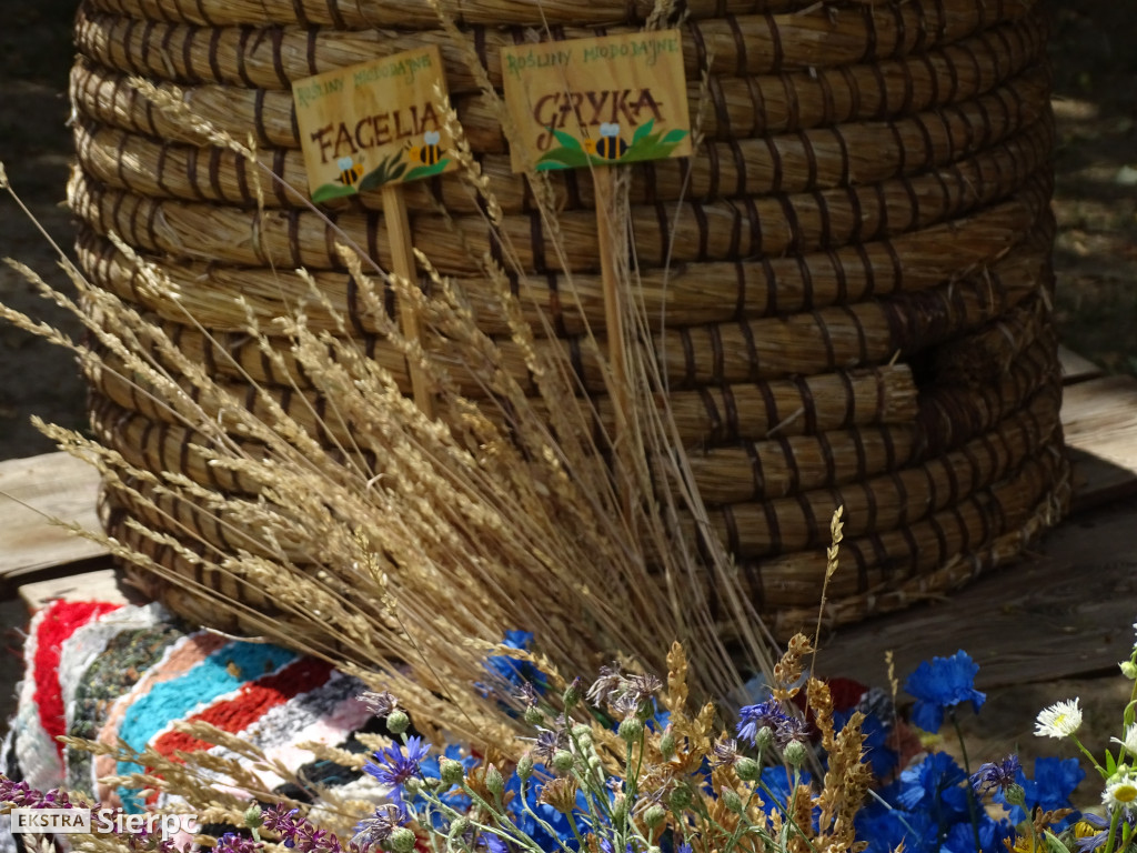 Miodobranie w skansenie