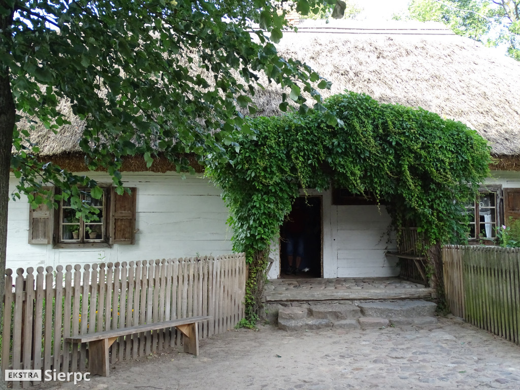 Miodobranie w skansenie