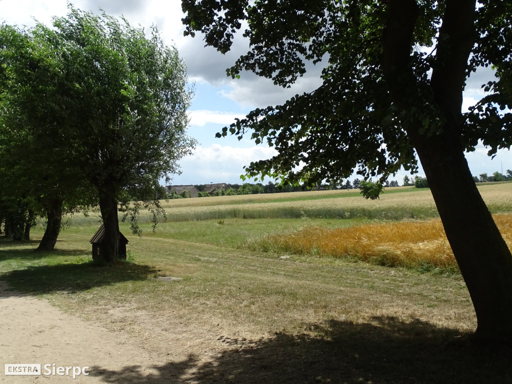 Miodobranie w skansenie