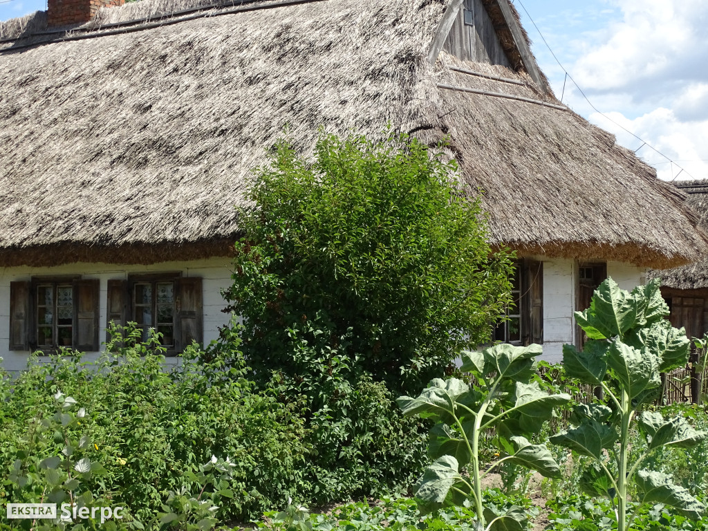Miodobranie w skansenie