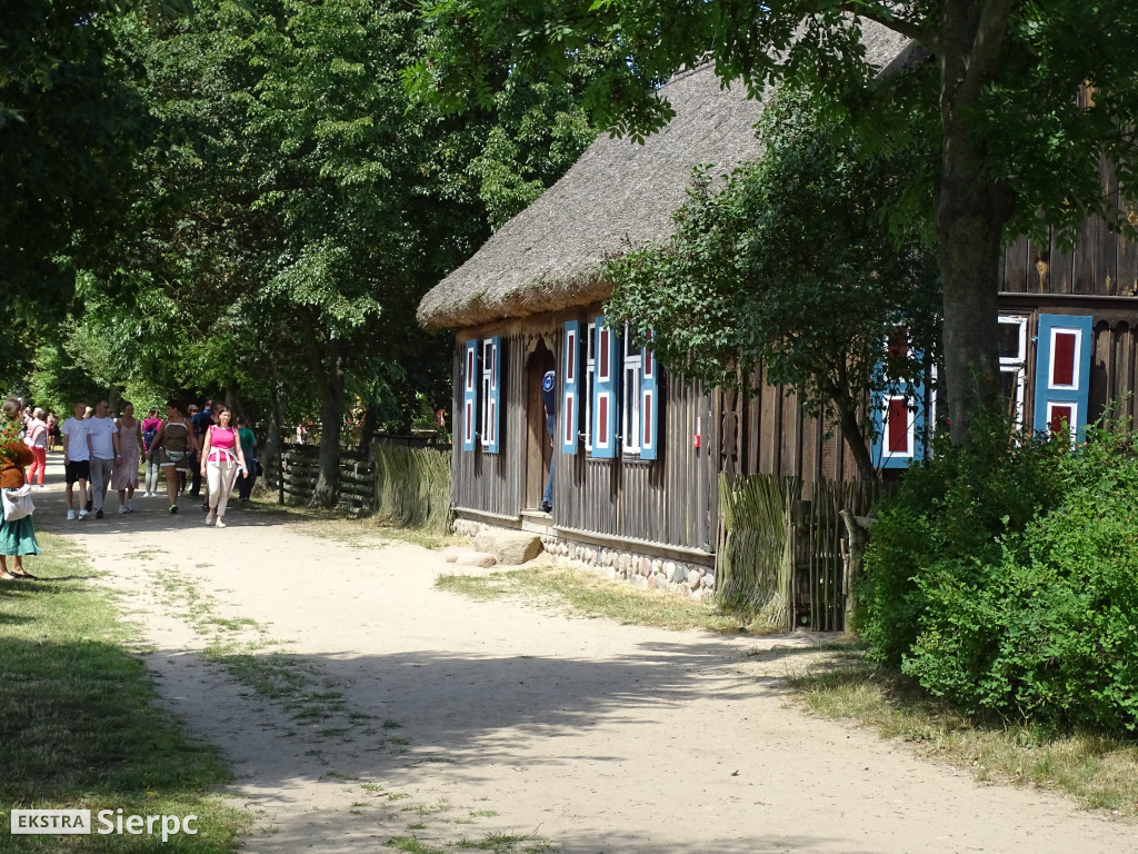 Miodobranie w skansenie