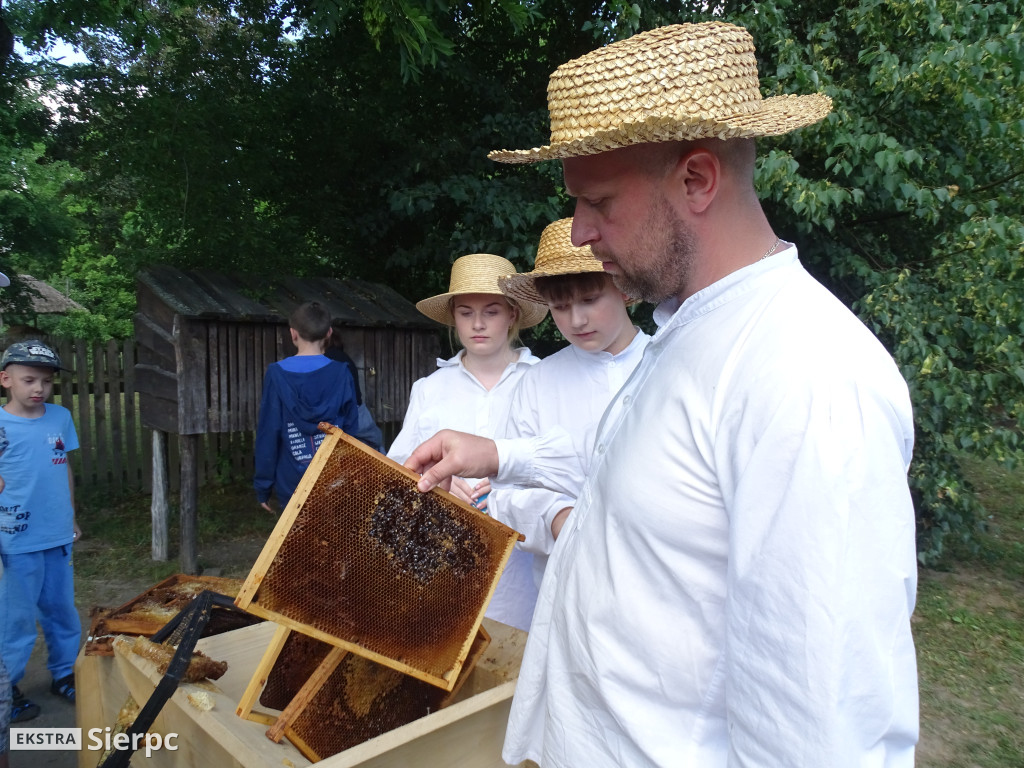 Miodobranie w skansenie