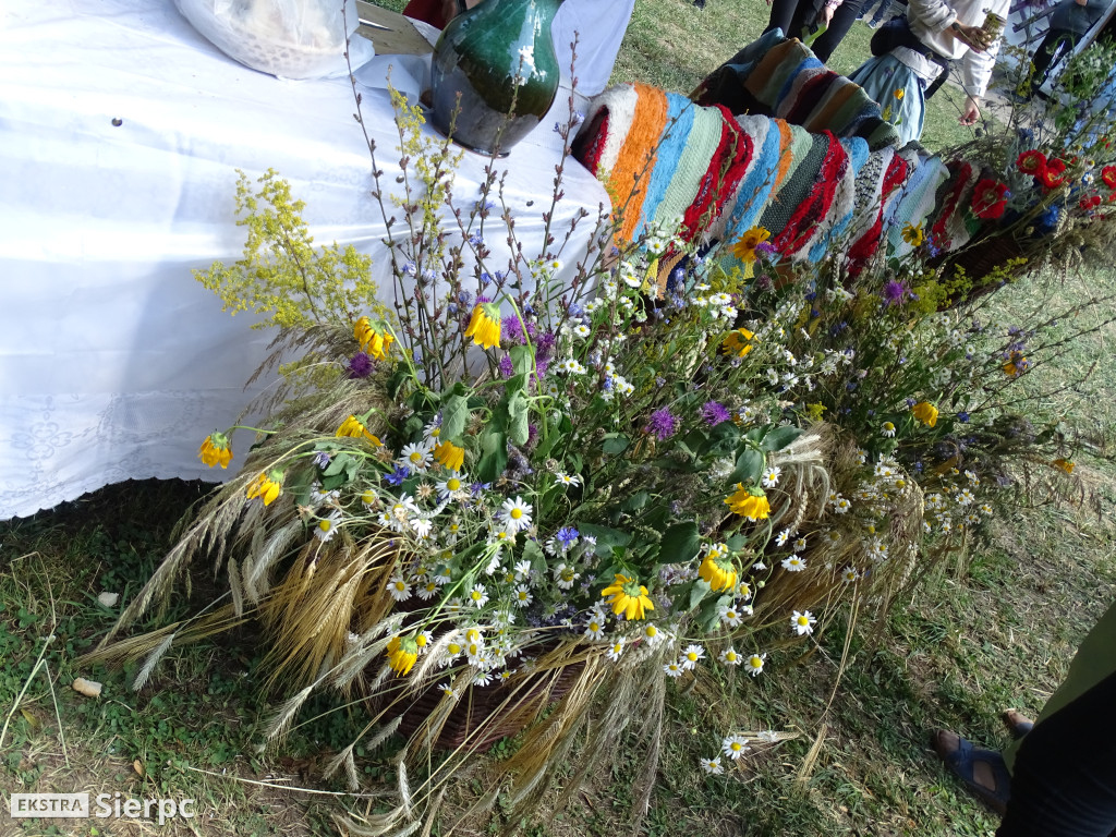 Miodobranie w skansenie