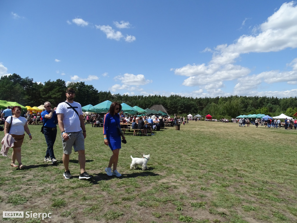 Miodobranie w skansenie