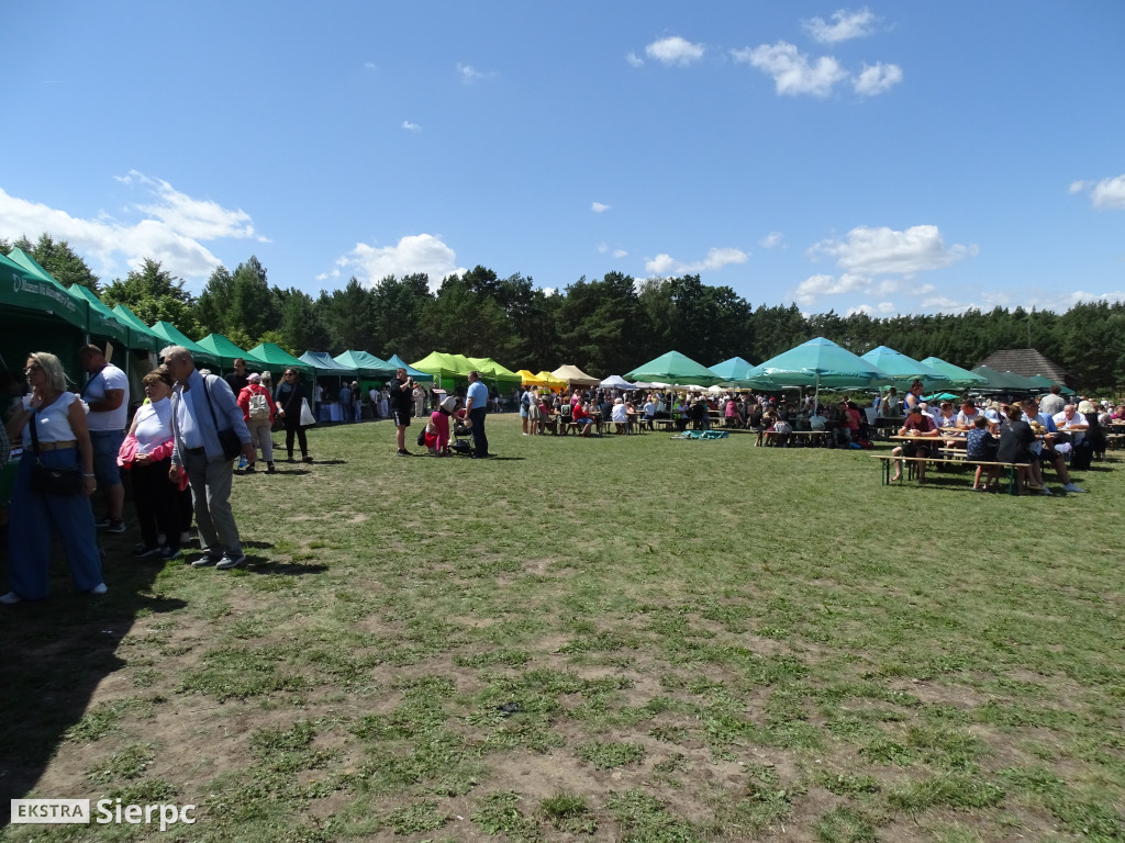 Miodobranie w skansenie