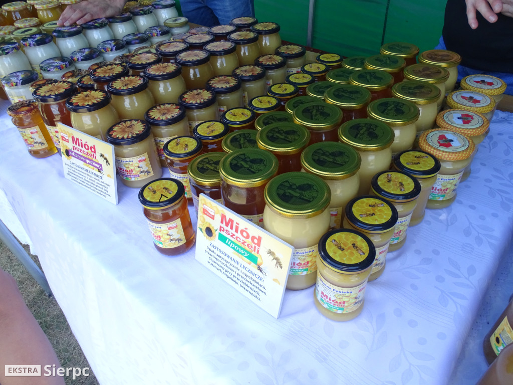 Miodobranie w skansenie