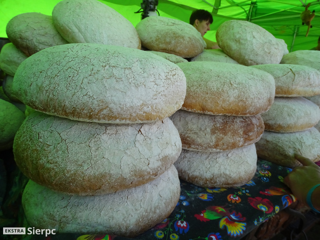Miodobranie w skansenie
