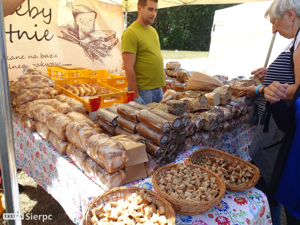 Miodobranie w skansenie