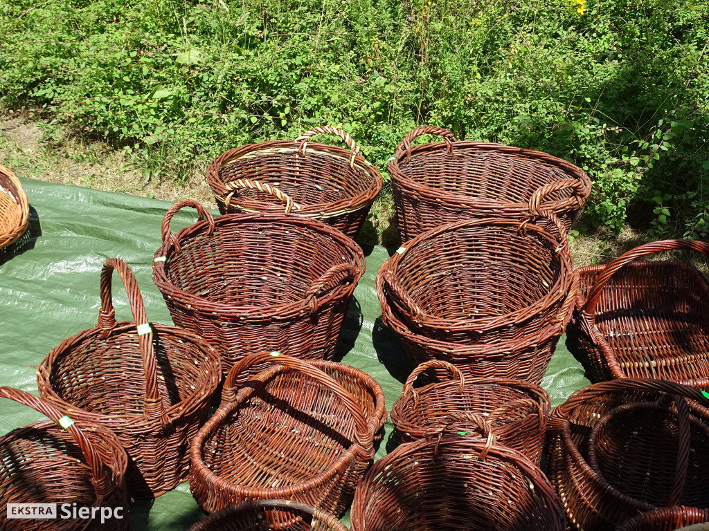 Miodobranie w skansenie
