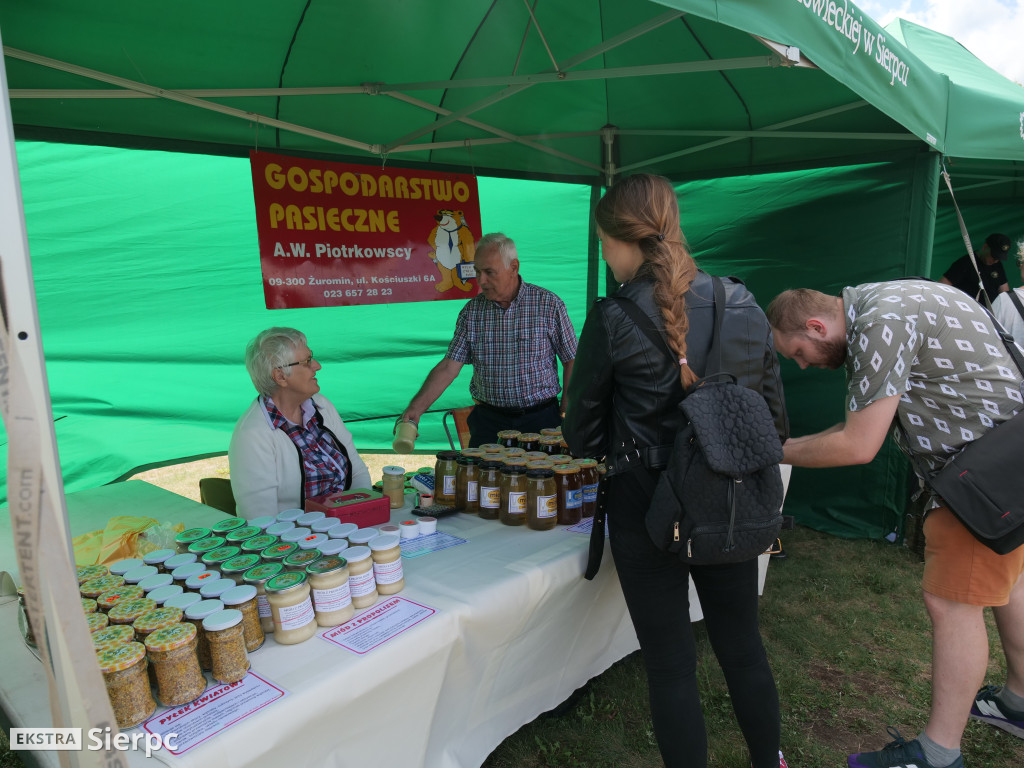 Miodobranie w skansenie