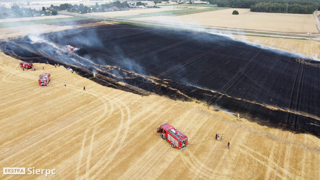 Pożar rżyska w Sierpcu