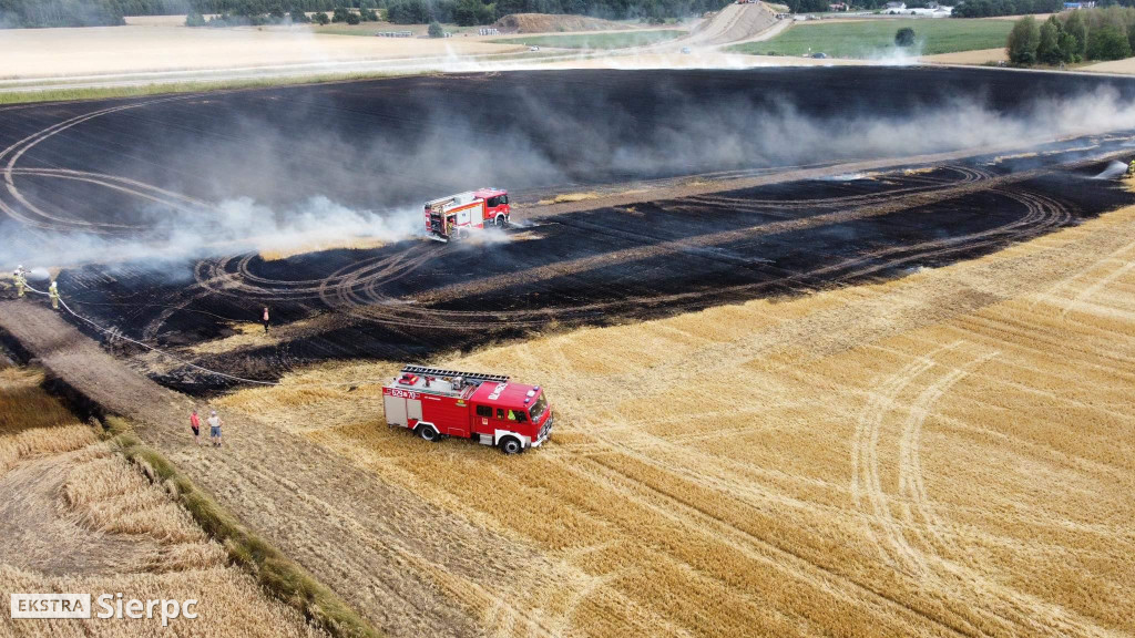 Pożar rżyska w Sierpcu