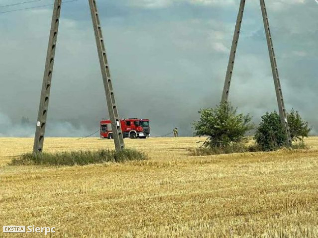 Pożar rżyska w Sierpcu