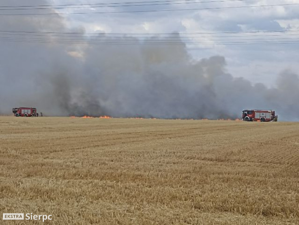 Pożar rżyska w Sierpcu