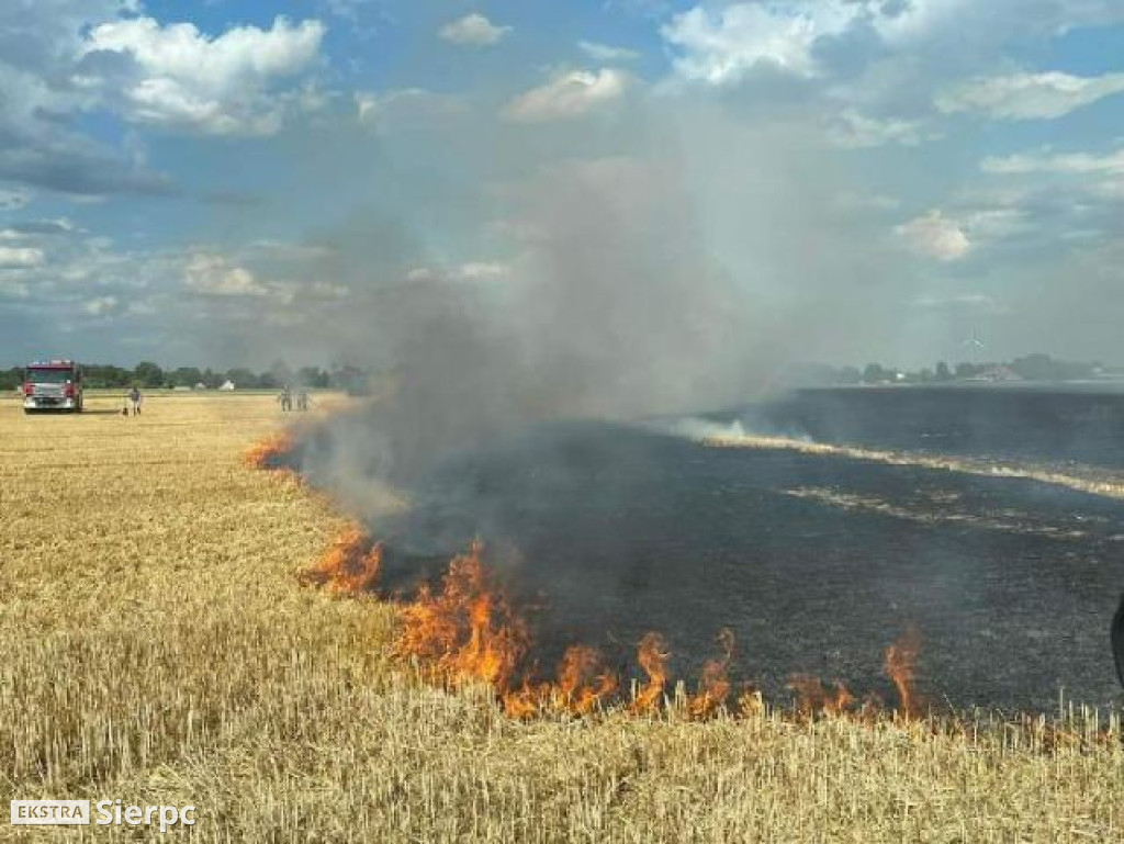 Pożar rżyska w Sierpcu