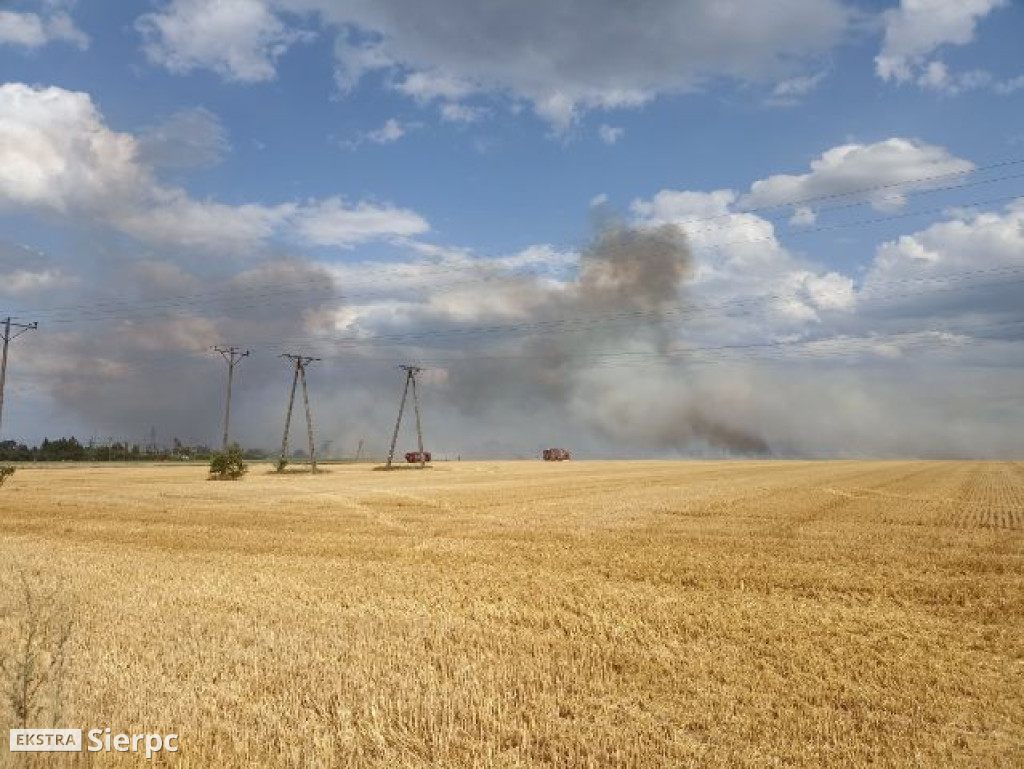 Pożar rżyska w Sierpcu