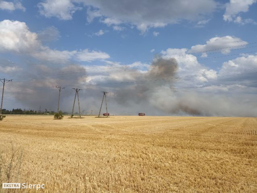 Pożar rżyska w Sierpcu