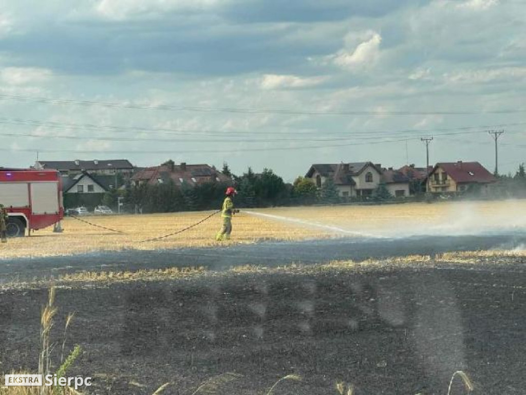 Pożar rżyska w Sierpcu