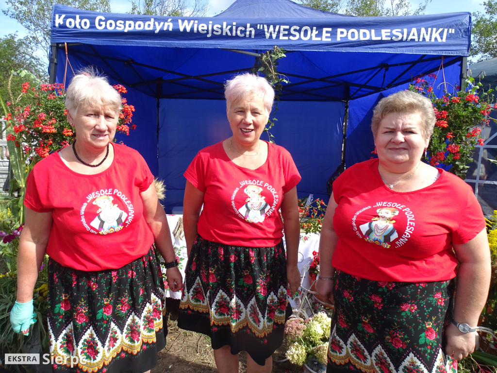 Dożynki parafialno-gminne w Gójsku