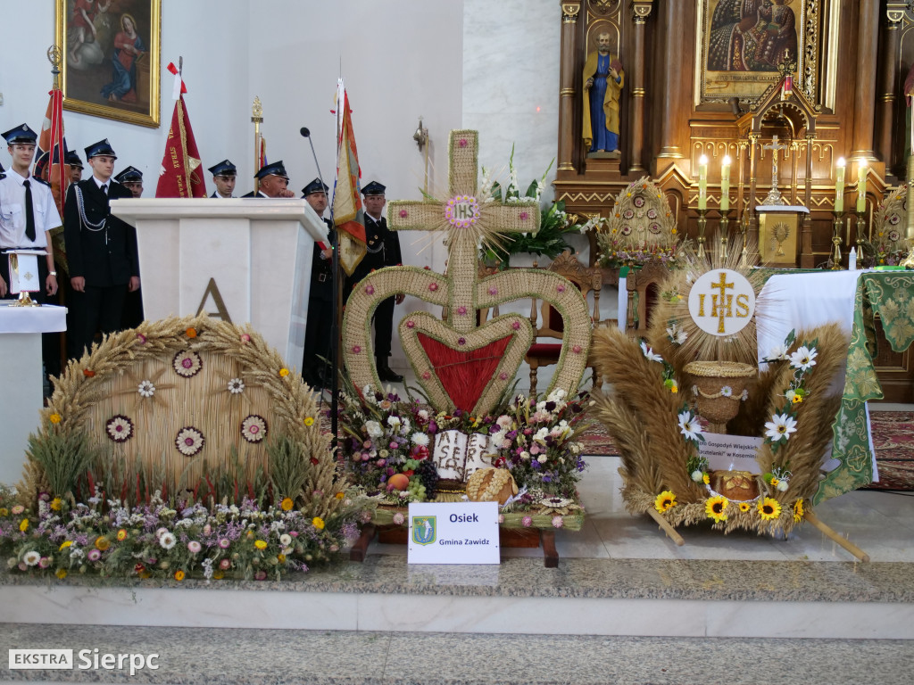 Dożynki gminne w Zawidzu