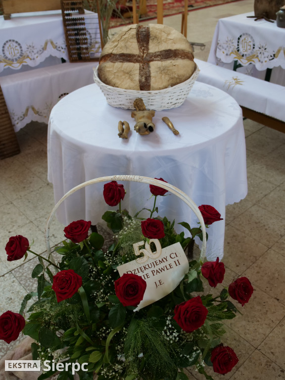 Dożynki gminne w Zawidzu