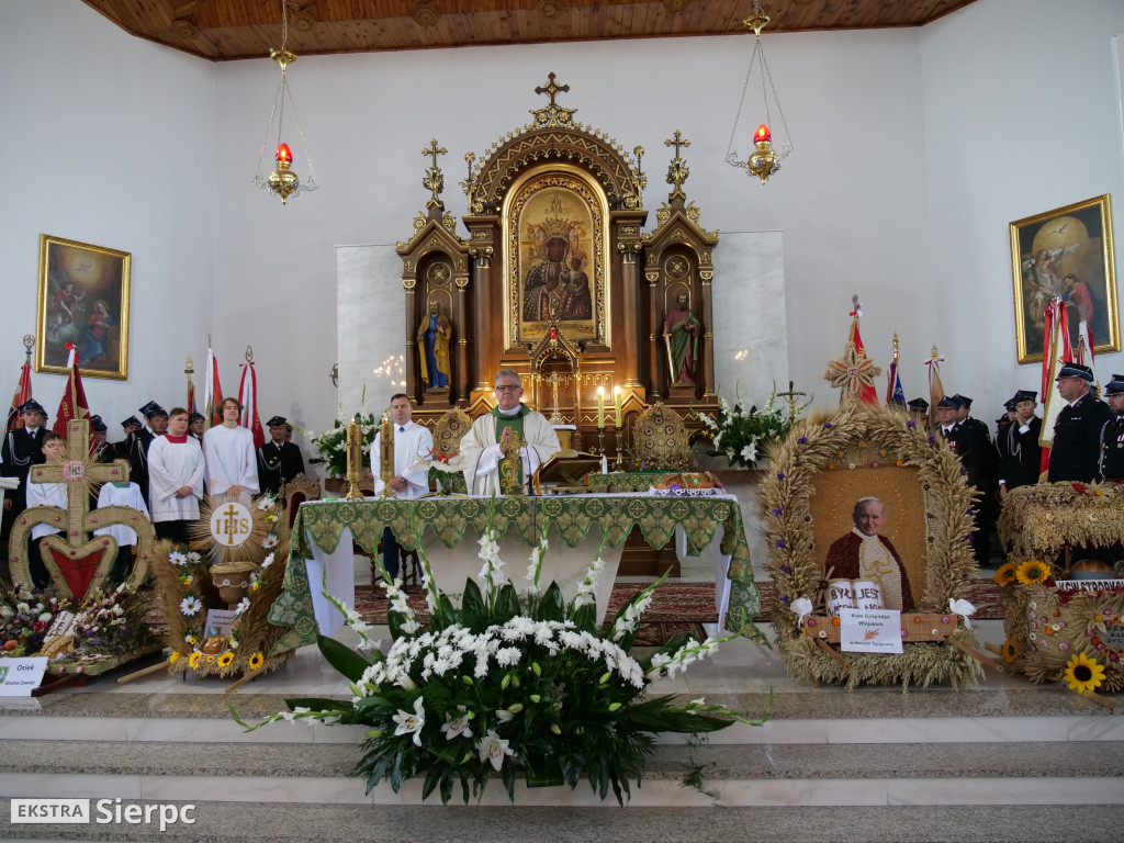 Dożynki gminne w Zawidzu