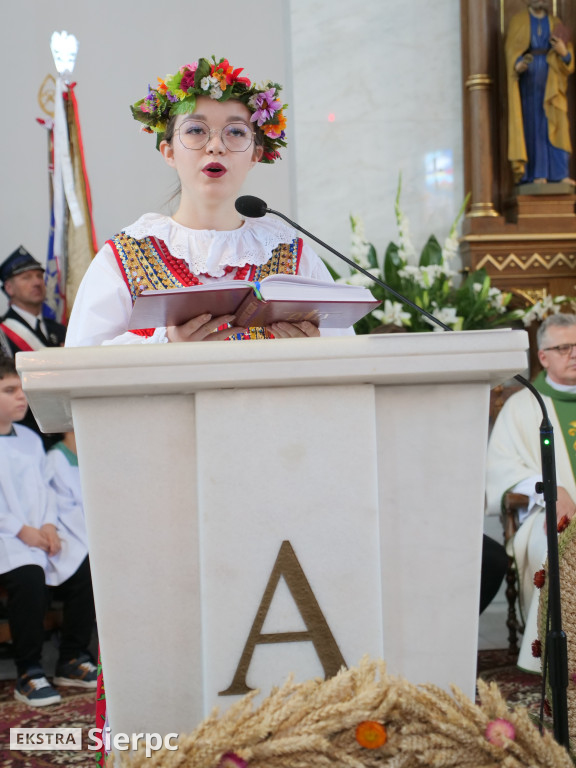 Dożynki gminne w Zawidzu