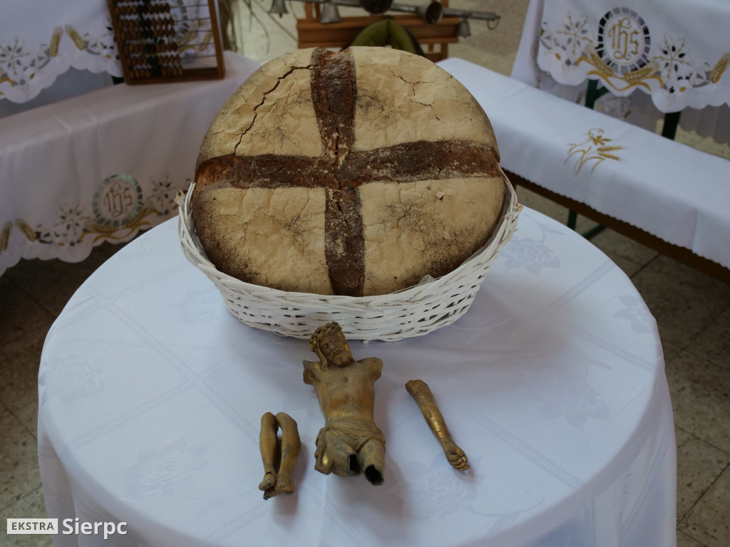 Dożynki gminne w Zawidzu