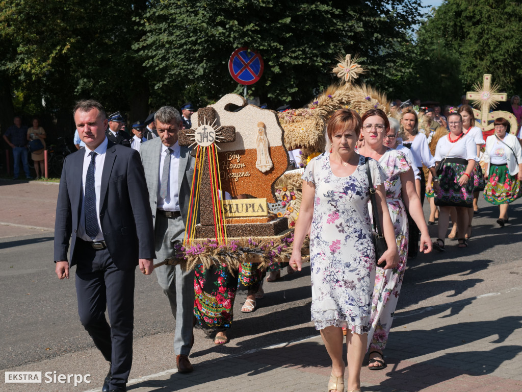 Dożynki gminne w Zawidzu