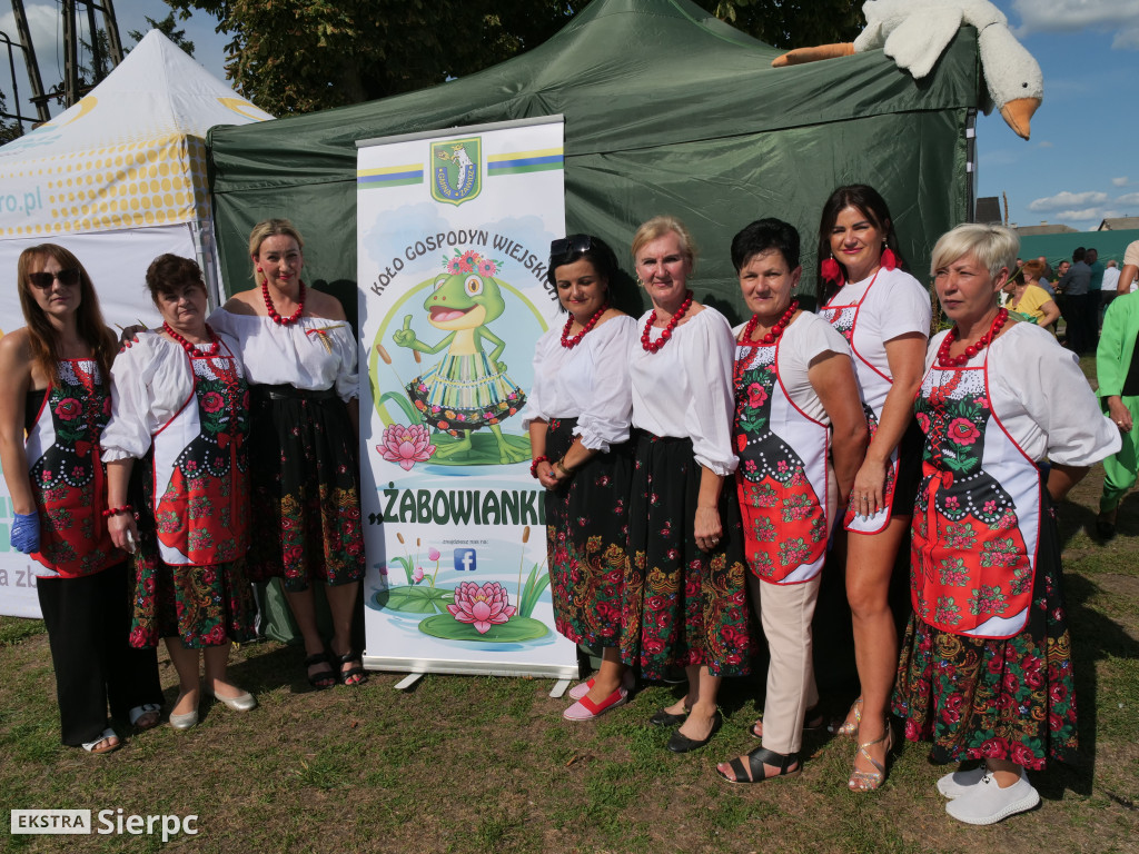 Dożynki gminne w Zawidzu