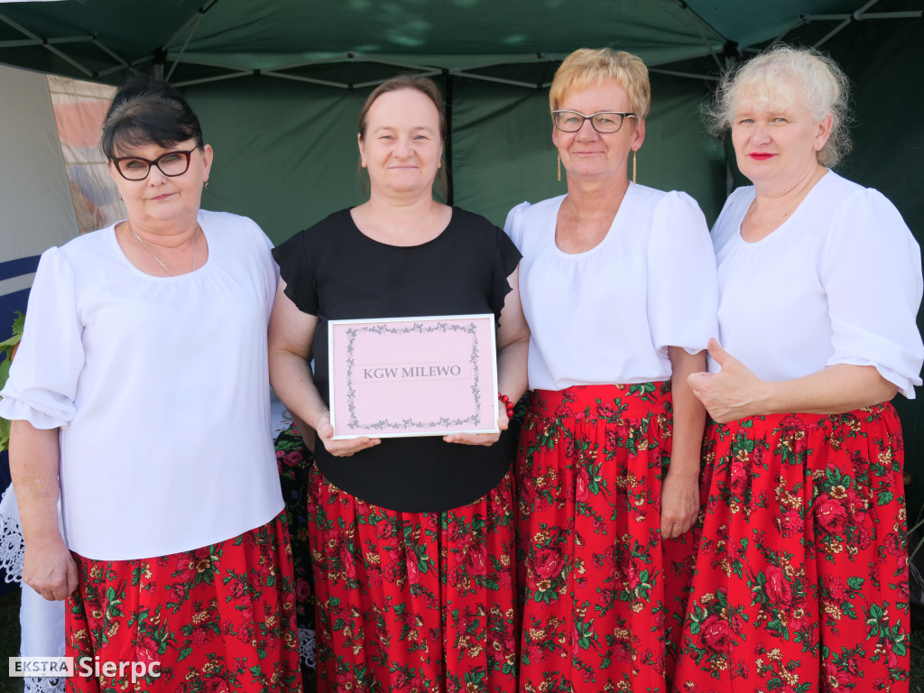 Dożynki gminne w Zawidzu