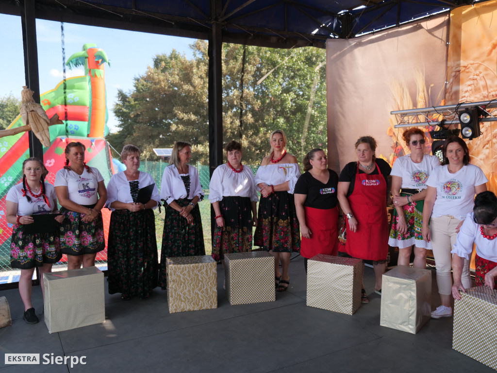 Dożynki gminne w Zawidzu