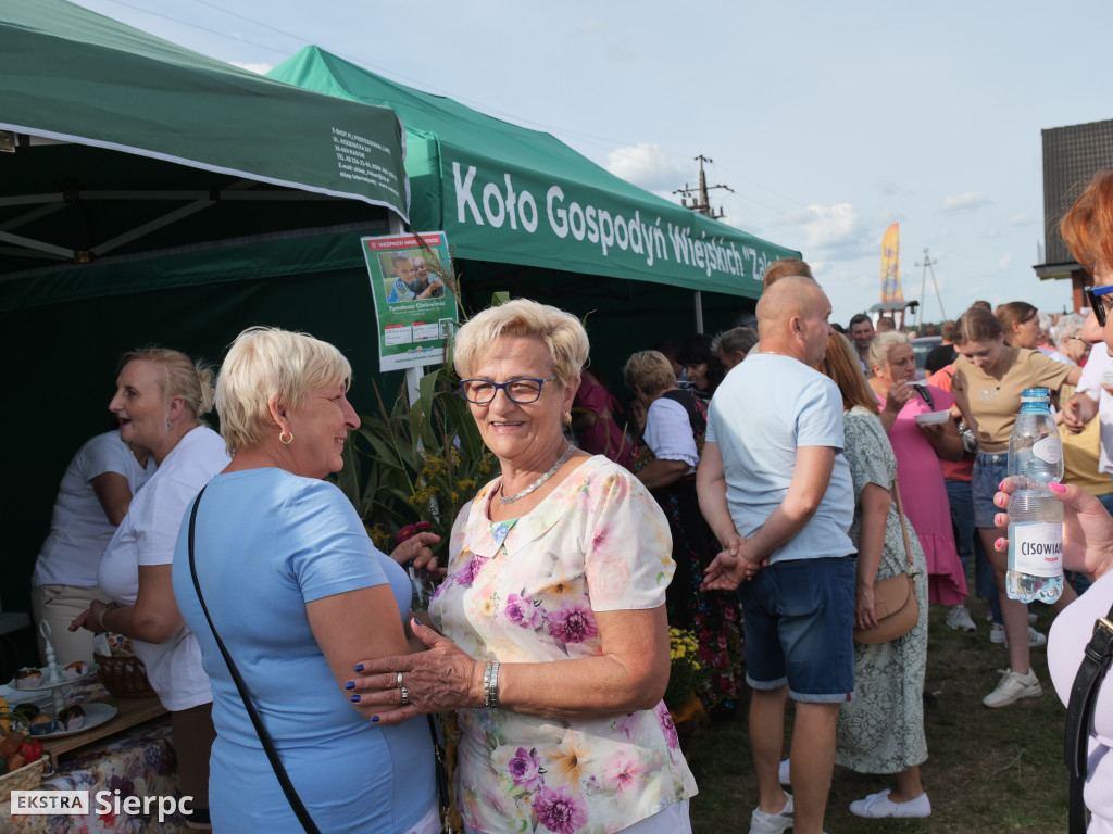 Dożynki gminne w Zawidzu