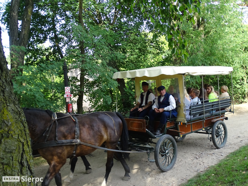Wykopki w skansenie