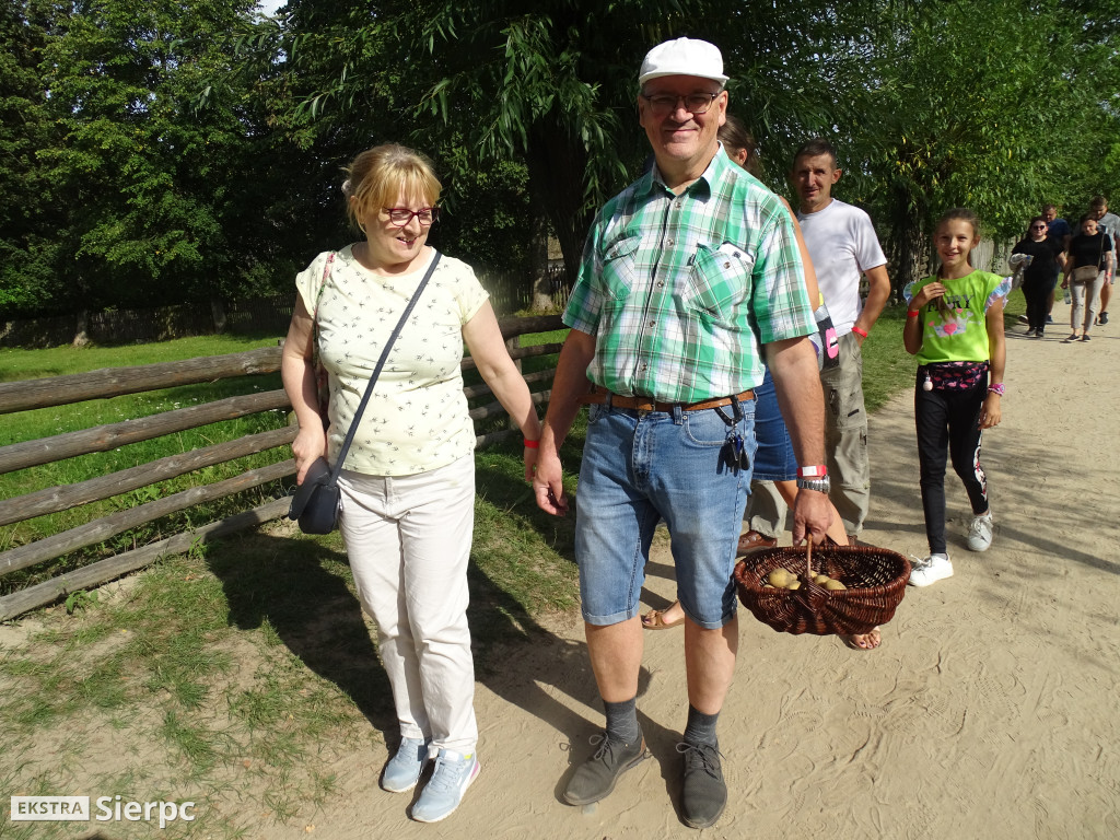 Wykopki w skansenie