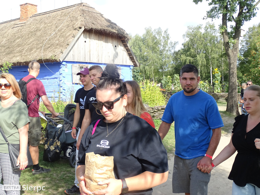 Wykopki w skansenie