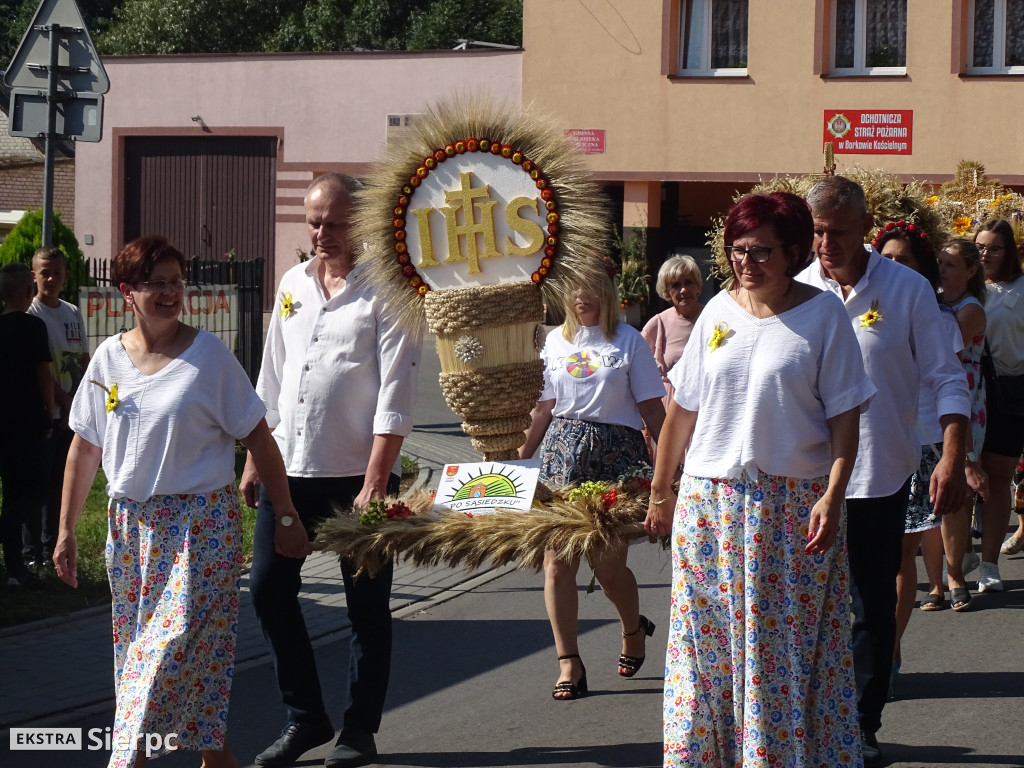 Dożynki Powiatowo-Gminne w Borkowie Kościelnym
