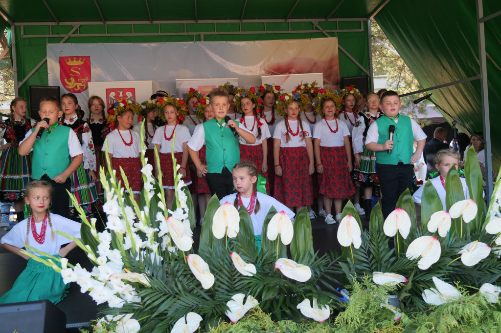 Dożynki Powiatowo-Gminne w Borkowie Kościelnym 2