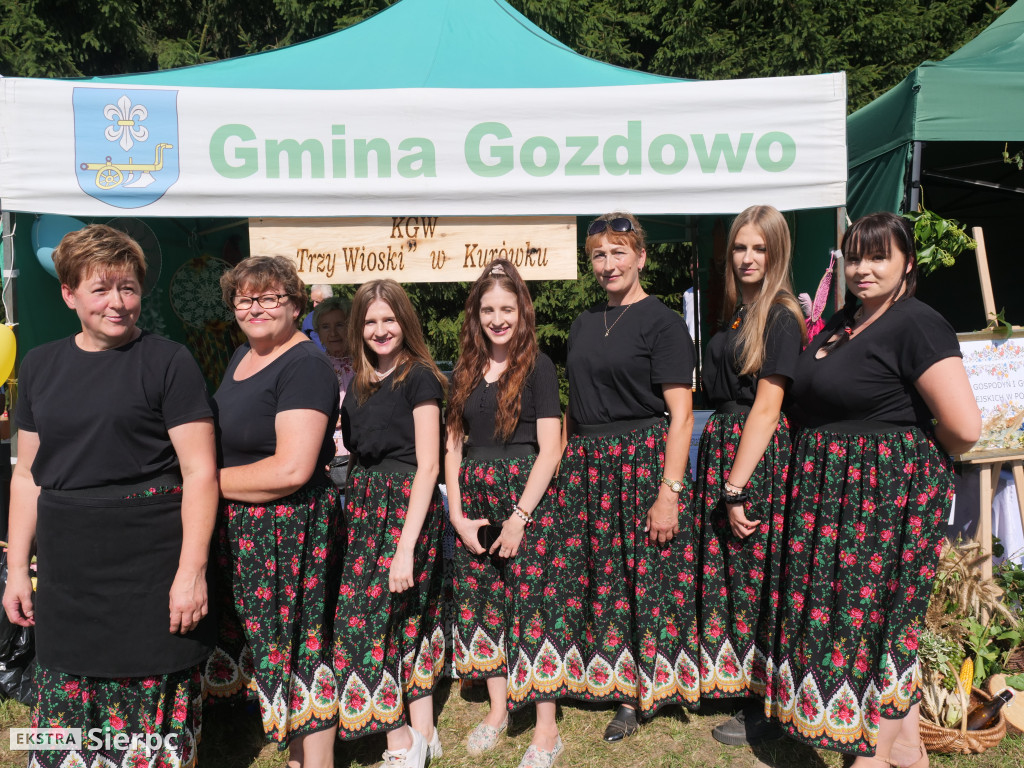 Dożynki Powiatowo-Gminne w Borkowie Kościelnym 2