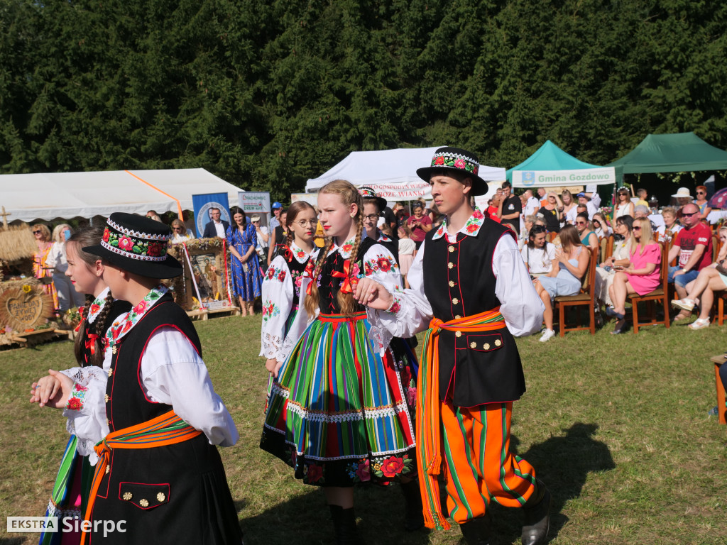 Dożynki Powiatowo-Gminne w Borkowie Kościelnym 2
