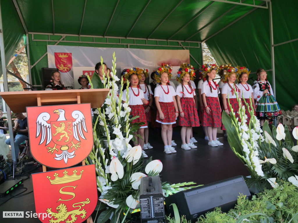 Dożynki Powiatowo-Gminne w Borkowie Kościelnym 2